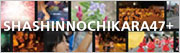 syashinochikara47+